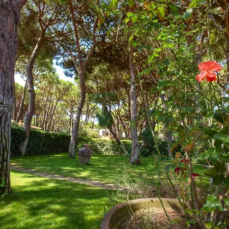 Ancora カスティリオーネ・デッラ・ペスカーイア