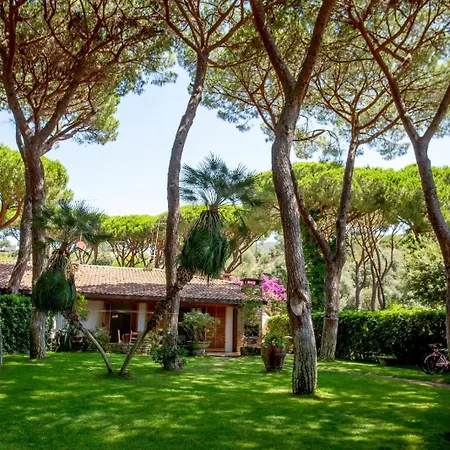 Ancora カスティリオーネ・デッラ・ペスカーイア