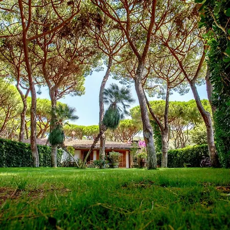 Apartment Ancora Castiglione della Pescaia