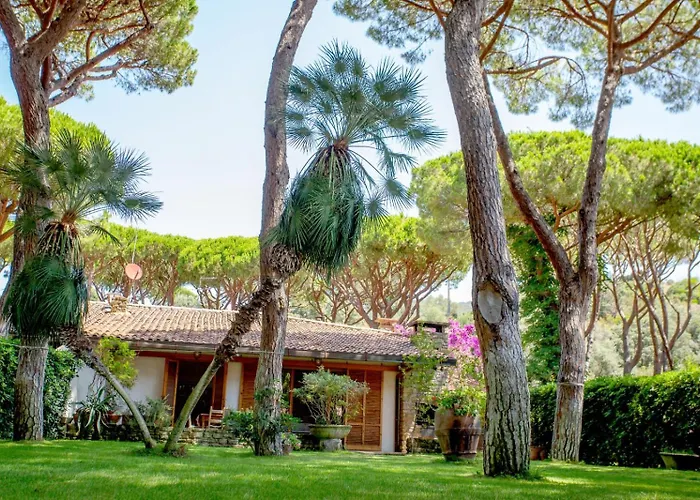 Ancora 卡斯蒂里昂纳·德拉佩