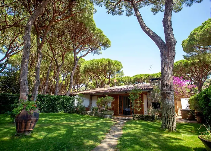 Ancora * 卡斯蒂里昂纳·德拉佩