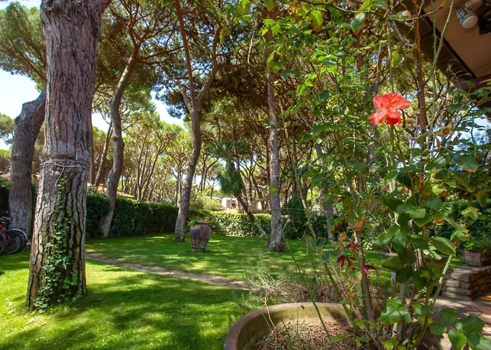 Ancora 卡斯蒂里昂纳·德拉佩