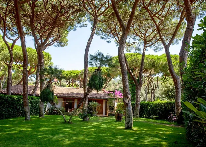 Ancora 卡斯蒂里昂纳·德拉佩