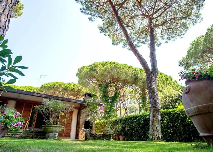 Ancora * 卡斯蒂里昂纳·德拉佩