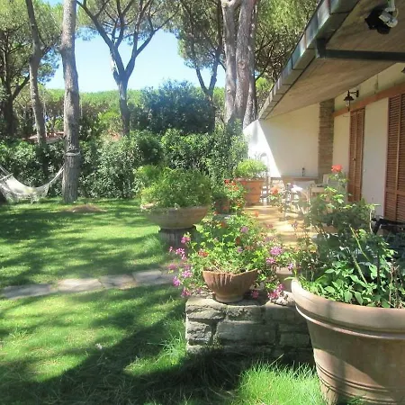 Apartment Ancora